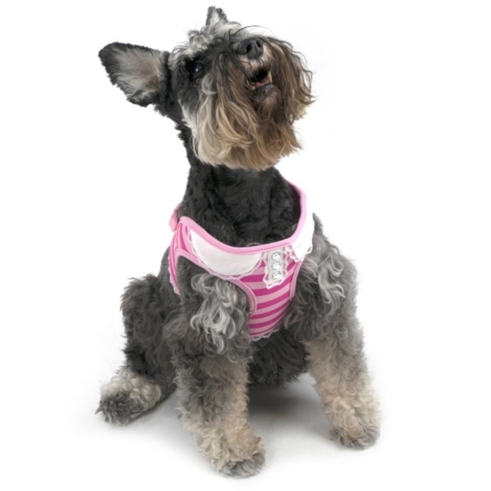 Vibrant Life Stripe & Lace Harness for Medium Dog Pink S - Picture 2 of 8